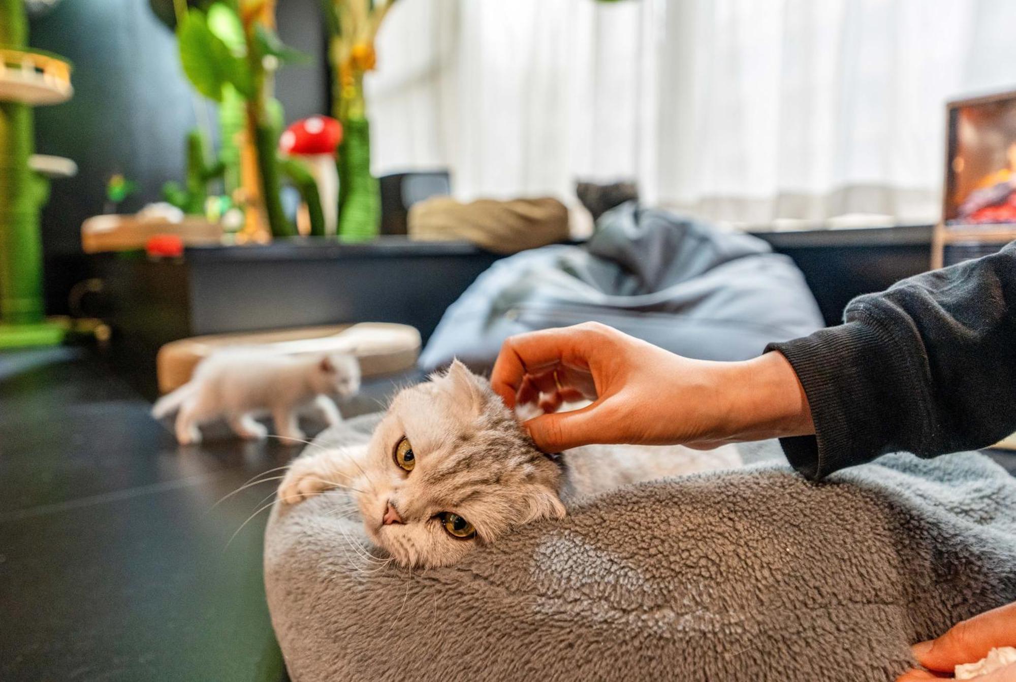 Hesu Designer Hotel & Suites -Near Xi'An Drum Tower And Yongning Gate -Free Laundry Luggage Storage -Kitty Cafe With Freshly Ground Coffee -24H Front Desk -English Service מראה חיצוני תמונה