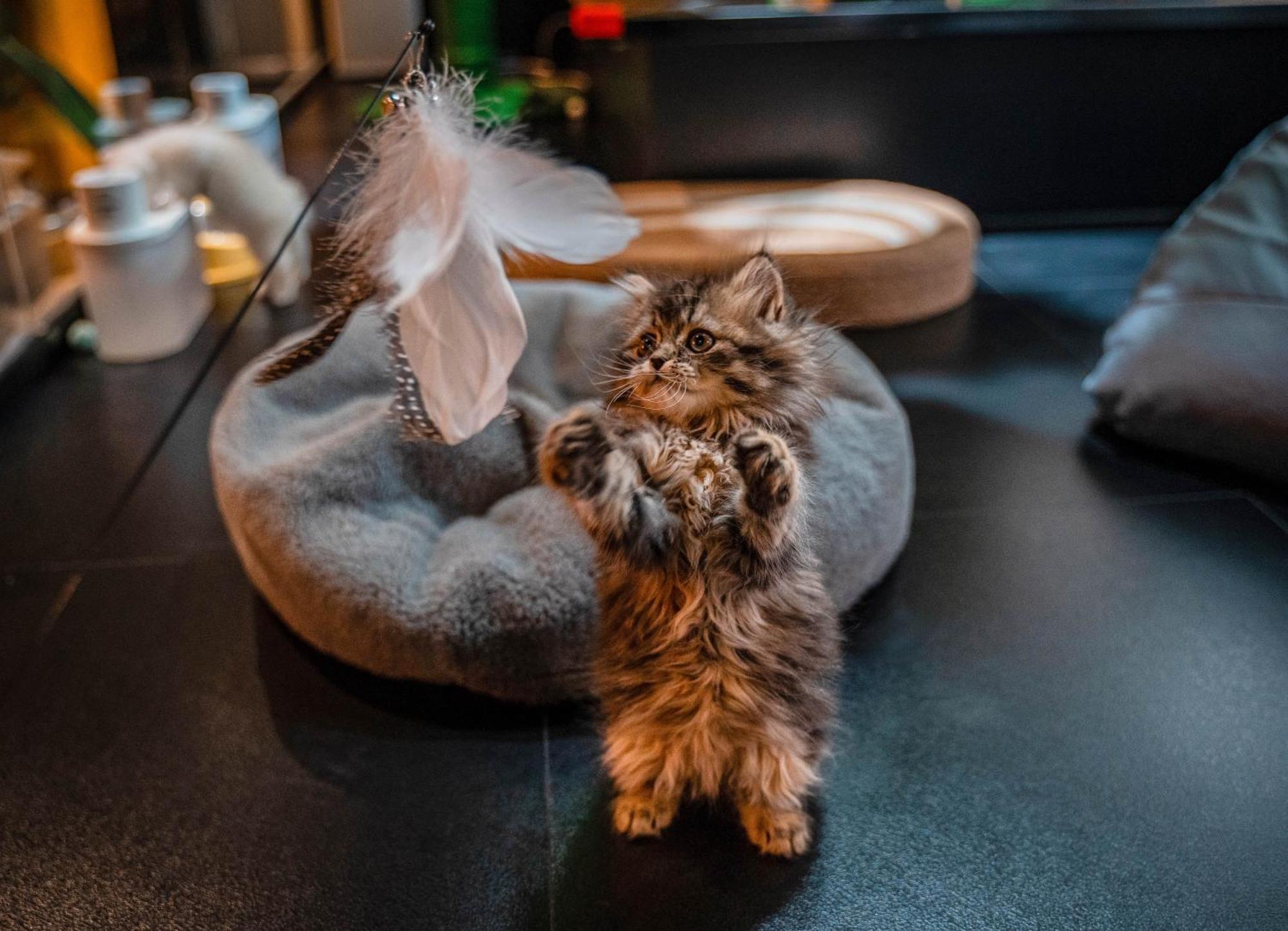 Hesu Designer Hotel & Suites -Near Xi'An Drum Tower And Yongning Gate -Free Laundry Luggage Storage -Kitty Cafe With Freshly Ground Coffee -24H Front Desk -English Service מראה חיצוני תמונה