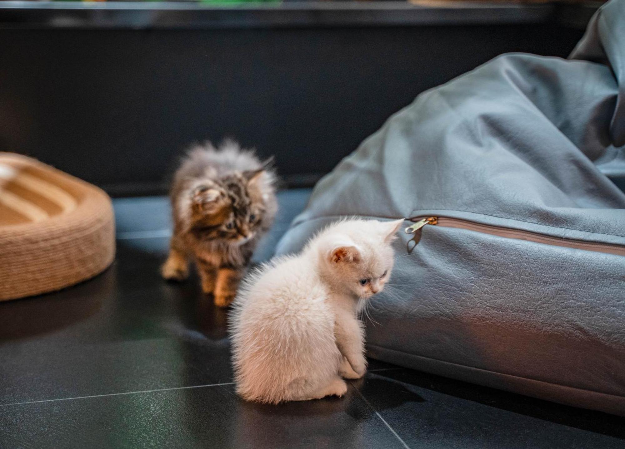 Hesu Designer Hotel & Suites -Near Xi'An Drum Tower And Yongning Gate -Free Laundry Luggage Storage -Kitty Cafe With Freshly Ground Coffee -24H Front Desk -English Service מראה חיצוני תמונה