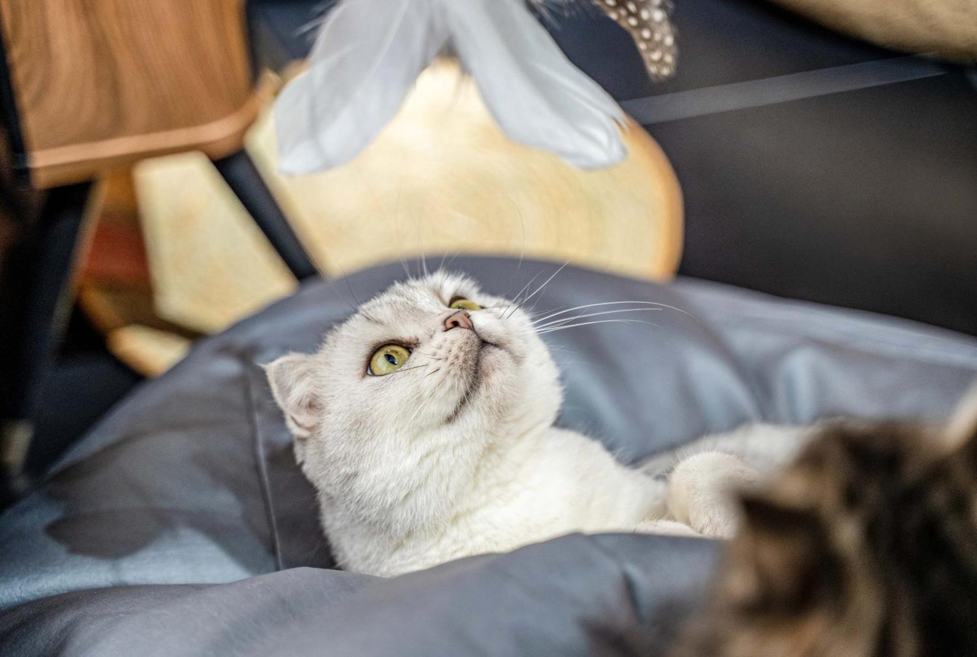 Hesu Designer Hotel & Suites -Near Xi'An Drum Tower And Yongning Gate -Free Laundry Luggage Storage -Kitty Cafe With Freshly Ground Coffee -24H Front Desk -English Service מראה חיצוני תמונה